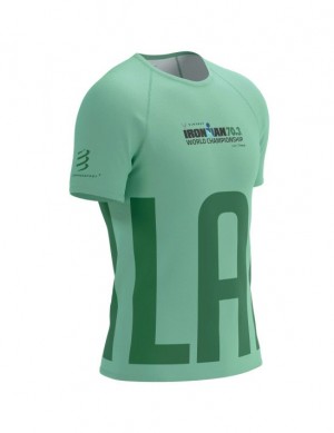 Cămăși De Alergare Compressport TRAINING SS Tshirt M Barbati Colorati | 083549-NQH