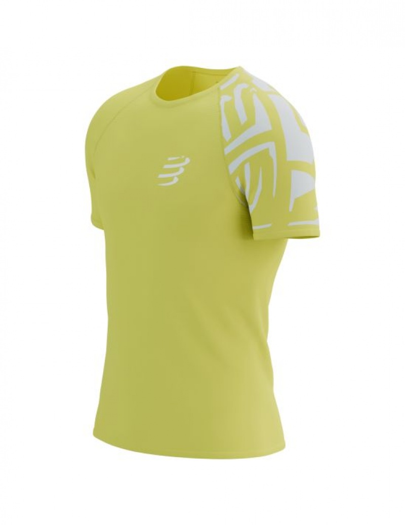 Cămăși De Alergare Compressport TRAINING SS Tshirt M Barbati Verzi | 534208-HGT