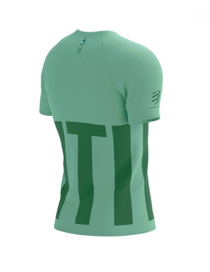 Cămăși De Alergare Compressport TRAINING SS Tshirt M Barbati Colorati | 083549-NQH